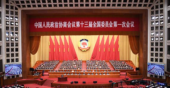 全國政協(xié)委員詹純新：企業(yè)走出去要“做主、做深、做透”