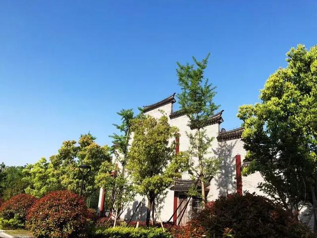二審期間取得建設工程規劃許可證，仍可判施工合同有效！